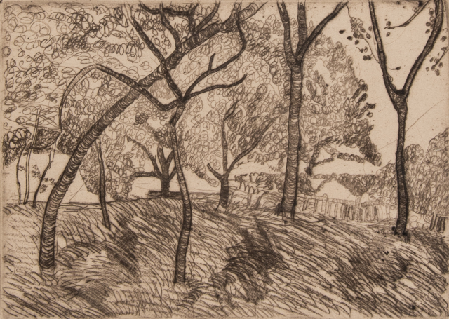 This image in dark brown ink depicts a landscape with numerous trees. There is a small fence in right background. The ground is loosely deliniated and has several dark tree shadows.